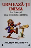 URMEAZA-TI INIMA. CUM SA DESCOPERI SENSUL VIETII PERSONALE SI PROFESIONALE-ANDREW MATTHEWS