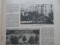 Foto  - 12