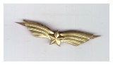 Semn de arma aviatie ofiter (auriu) RSR