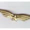 Semn de arma aviatie ofiter (auriu) RSR