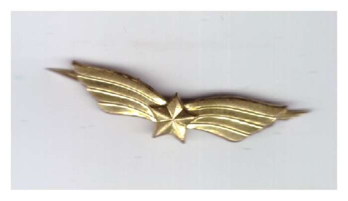 Semn de arma aviatie ofiter (auriu) RSR