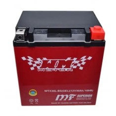 Baterie scuter, atv 30 Amperi / 12v (gel) WM