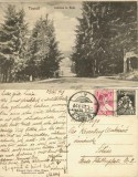 CP1940N Tușnad, Intrarea la Baie, fotograf Oscar Adler, Brașov, 1929, carte poștală