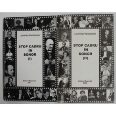 STOP CADRU IN SONOR de LUMINITA VARTOLOMEI , VOLUMELE I - II , 2001