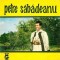 Petre Sabadeanu - Catu-i / Citu-i Muresul De Mare (7&quot;)