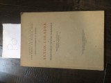 Anton Chaldek - Inceputurile picturii romanesti Po
