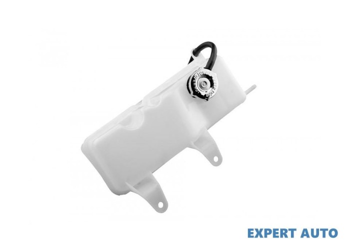 Vas expansiune Chrysler 300M (1998-2004) [LR] #1