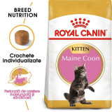 Cumpara ieftin Royal Canin Maine Coon Kitten hrana uscata pisica junior