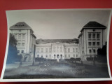 Universitatea de Medicina si Farmacie Grigore T. Popa din IASI, Alb-Negru, Romania de la 1950, Cladiri