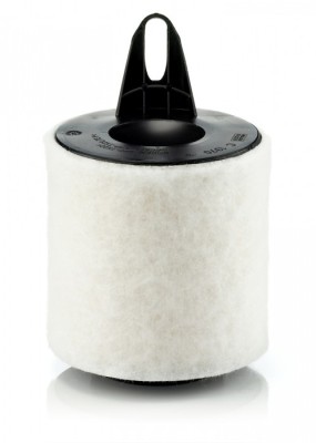 Filtru Aer Mann-Filter C1370 foto
