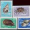 Romania MNH 1966 - Crustacee si moluste - LP 639