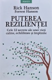 Cumpara ieftin Puterea rezilientei. Cele 12 secrete ale unei vieti calme, echilibrate si implinite - 2022 - Rick Hanson (@I165)