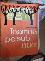 Victor Tulbure - Toamna pe sub nuci foto