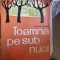 Victor Tulbure - Toamna pe sub nuci