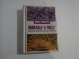 (GHID PRACTIC) MINERALE SI FOSILE Speciile si varietatile cele mai cunoscute