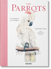 TASCHEN Edward Lear. The Parrots papagali arta pictura gravura album zoologie foto