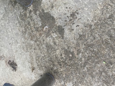 Teren intravilan foto