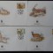 Usbekistan-WWF,FDC fauna-set complet