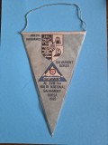 Fanion Salvamont Borsa al XVIII-lea raliu national 1989 / CD1P