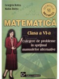 Georgeta Burtea - Matematica - Clasa a VI-a - Culegere de probleme in sprijinul manualelor alternative (Editia: 1999)