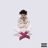 Yungblud - 21st Century Liability (LP), Niche Records