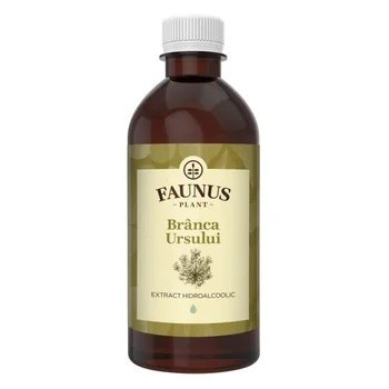 TINCTURA BRANCA URSULUI 500ML foto