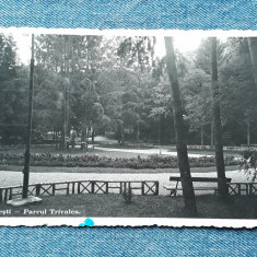 531 - Pitesti Parcul Trivalea 1939 carte postala circulata, vedere parc Fotofilm