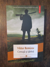 Cenusa si tarana - Victor Remizov foto