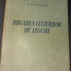 IRIGAREA CULTURILOR DE LEGUME I G PETROV