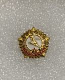 Insigna rusia