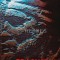 Trasnetul geto-dac - 2000 - Pavel Corut ($B149)