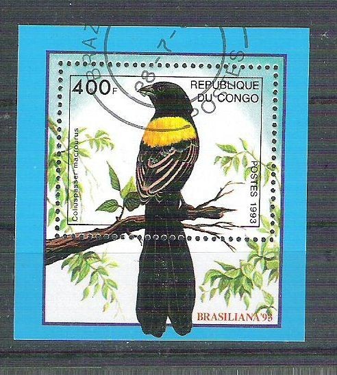 Congo 1993 Birds, perf. sheet, used AB.091