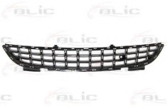 Grila ventilatie, bara protectie OPEL CORSA D (2006 - 2016) BLIC 6502-07-5024997P