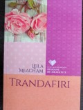 Trandafiri - Leila Meacham