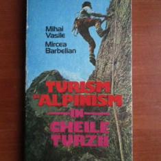 Mihai Vasile - Turism alpinism in Cheile Turzii (contine harta)
