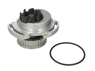 Pompa apa VW GOLF III Variant (1H5) (1993 - 1999) THERMOTEC D1W015TT foto