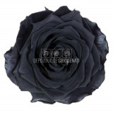 Trandafiri Criogenati PREMIUM BLACK (&Oslash;7-8,5cm; set 4 buc /cutie)