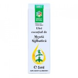 Ulei esential de menta salbatica, 5ml, Steaua Divina