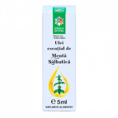 Ulei esential de menta salbatica, 5ml, Steaua Divina