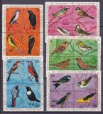 Burundi 1970 fauna pasari MI 621-656 9 blocuri MNH