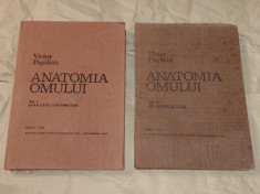 VICTOR PAPILIAN - ANATOMIA OMULUI Vol.1.2. foto
