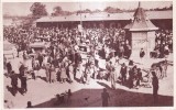 Rosiorii De Vede. In Piata (necirculata, circa 1930)