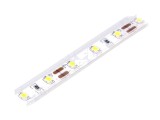 Bandă LED alb rece 12V IP65 12W/m