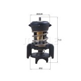 Mahle termostat, lichid racire Behr