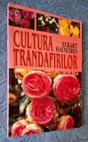 Cultura trandafirilor - Eckart Haenchen