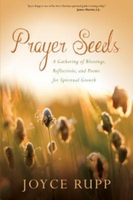 Prayer Seeds: A Gathering of Blessings, Reflections, and Poems for Spiritual Growth foto