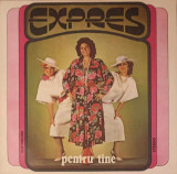 Disc vinil, LP. PENTRU TINE-EXPRES, Rock and Roll