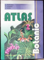 ATLAS BOTANIC-L. POPOVICI, C. MORUZI, I. TOMA-277243 foto