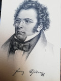 Carte postala Franz Schubert, necirculata, ed.Stengel. litografie, perfecta