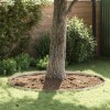 VidaXL &Icirc;mprejmuire pentru gazon Argintiu 450 x 10 cm Oțel inoxidabil 868016